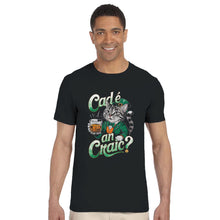 Load image into Gallery viewer, Cad é an craic Cat Whiskey T-shirt - Urban Celt