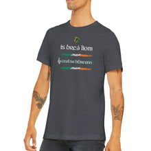 Load image into Gallery viewer, I Love Irish Music As Gaeilge T-shirt - Urban Celt
