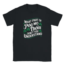 Load image into Gallery viewer, Patrick's Day Póg Mo Thóin Unisex T-shirt - Urban Celt