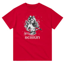 Load image into Gallery viewer, Seisiún Fiddle Illustration T-shirt - Urban Celt