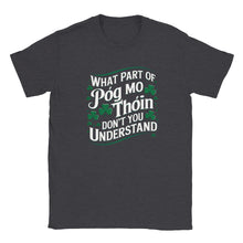 Load image into Gallery viewer, Patrick's Day Póg Mo Thóin Unisex T-shirt - Urban Celt