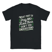 Load image into Gallery viewer, Póg mo feckin thóin Crewneck T-shirt - Urban Celt