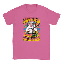 Load image into Gallery viewer, Stay Weird Banjo Sheep T-shirt - Urban Celt
