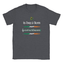 Load image into Gallery viewer, I Love Irish Music As Gaeilge T-shirt - Urban Celt