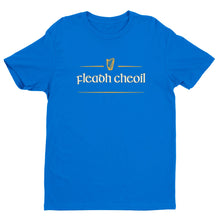 Load image into Gallery viewer, Fleadh Cheoil Unisex T-shirt - Urban Celt
