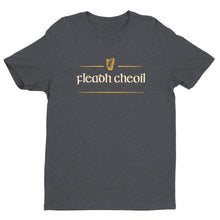 Load image into Gallery viewer, Fleadh Cheoil Unisex T-shirt - Urban Celt