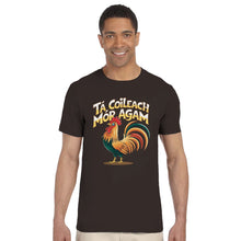 Load image into Gallery viewer, tá coileach mór agam T-shirt - Urban Celt