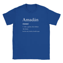 Load image into Gallery viewer, Amadán Definition Unisex T-shirt - Urban Celt