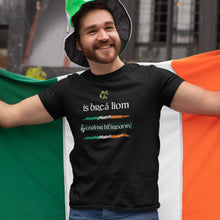 Load image into Gallery viewer, I Love Irish Music As Gaeilge T-shirt - Urban Celt