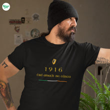 Load image into Gallery viewer, 1916 Easter Rising T-shirt - Urban Celt