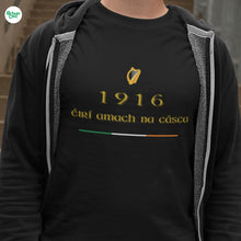 Load image into Gallery viewer, 1916 Easter Rising T-shirt - Urban Celt