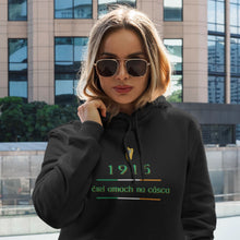 Load image into Gallery viewer, 1916 Easter Rising Commemorative Hoodie - Urban Celt