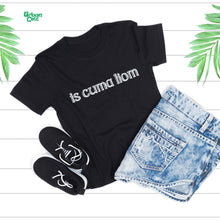 Load image into Gallery viewer, Is cuma liom - I don't care T-shirt - Urban Celt