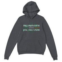 Load image into Gallery viewer, Póg mo thóin Pronouns Hoodie - Urban Celt