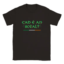 Load image into Gallery viewer, Cad é an scéal T-shirt - Urban Celt