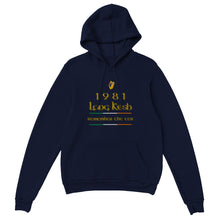 Load image into Gallery viewer, Long Kesh 1981 Hoodie - Urban Celt