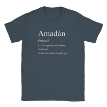 Load image into Gallery viewer, Amadán Definition Unisex T-shirt - Urban Celt
