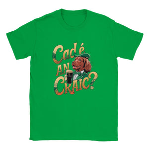 Cad é an craic Unisex T-shirt - Urban Celt