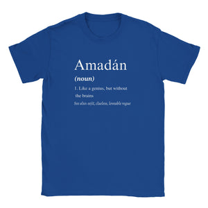 Amadán Definition Unisex T-shirt - Urban Celt