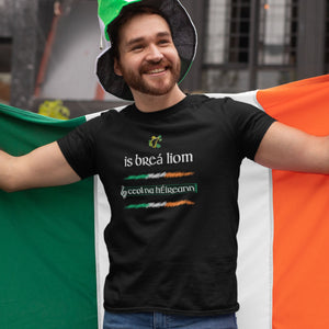 I Love Irish Music As Gaeilge T-shirt