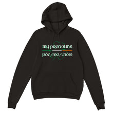 Load image into Gallery viewer, Póg mo thóin Pronouns Hoodie
