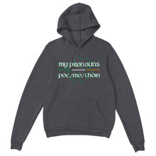 Load image into Gallery viewer, Póg mo thóin Pronouns Hoodie
